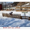 손자농장 네이버블로그