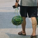 청운농협하나로마트로컬푸드직매장