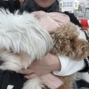 성지동물병원 이미지