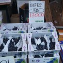 품절남마트