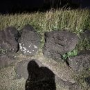 다이소표선점 이미지