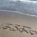 미니스톱 진도중앙점 | [도쿄 워홀 D+176~185]** 좋아하세요。。？다음 빈칸에 들어갈 알맞은 말은?