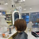 마곡역 미용실 보그헤어마곡역점에서 애쉬컬러로 염색 후기 / 수정스타일리스트
