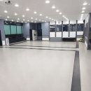 한국체대스타태권도장 이미지