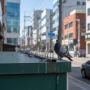 둥지나래 | 간판 위에 비둘기가? 대전 상가 조류 퇴치 스파이크 설치 효과