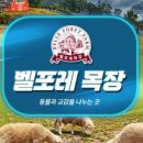 천원목장 이미지