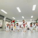 태비태권도장 이미지