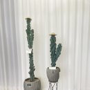 석주농장 이미지