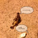 삼포방파제 이미지