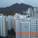 대림(e편한단지내)공인중개사사무소 이미지