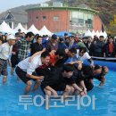 고창 수산물 축제