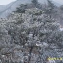 상주 노악산(노음산) 산행후기 이미지