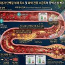 [단백질, 생명을 조절하는 보이지 않는 손, 10부작] [1화] "매일 고기와 달걀을 채워 넣어도 저질 체력...