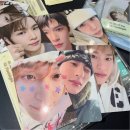 왕자타이어 | 쏟아져 내린 별이 품 안에 가득하지: 2월 일상