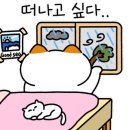 황포냉면 이미지