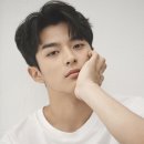 손상연 카카오 검색결과