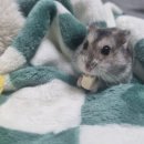 24시 애니동물병원 이미지