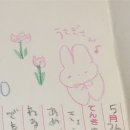 파인땡큐앤유 이미지