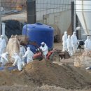 임상 농장 이미지