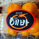 과일사랑 이미지