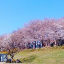 우삼국