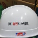(주)휴먼시스