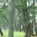 금갑마을 이미지