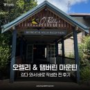 브리즈번 오렐리 레밍턴 국립공원 &amp; 탬버린 마운틴🌲 데이 투어 후기!