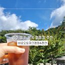 영주오토 | 25년 여름휴가 영주 풍기 비로오토파크캠핑장 3일차 후기