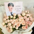 블루밍스완