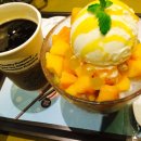엔제리너스영도