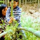 북산농장 이미지