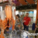 세종교역 머니투데이