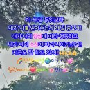 소신 - 천안시 서북구 불당34길 3-17 | 소신