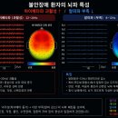 수험생을 위한 마음챙김 명상 | 불안장애 극복의 열쇠: 뇌파 데이터로 본 심담허겁 치료와 마음챙김 가이드