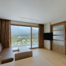 소노벨, 소노문 델피노 이미지