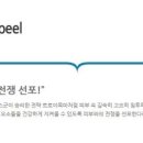 피부만연예인 이미지