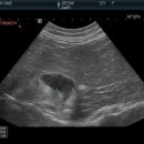 안양본동물의료센터 이미지