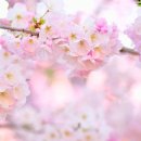 MTV프라자 이미지