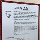＊[강동구오리고기] &#39;마당유황오리&#39; - 입에서 살살 녹는 오리고기로 몸보신하는 맛집!