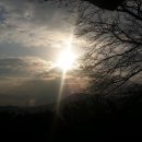 명품여우 Daum카페