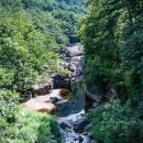 무릉계곡 힐링캠프장 | 주말에 가볼만한 캠피장 동해 무릉계곡 힐링캠프장