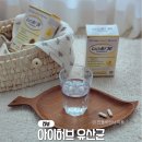 프로바이오틱스 유산균 먹는시간, 아이허브 유산균 CGN 먹어본 후기