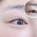 살롱드둥