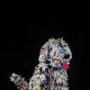 홍티예술촌 이미지