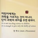 벌떼둥지 | 국립어린이과학관 상세후기 : 예약팁, 주차, 4d 몬스터하우스 내용