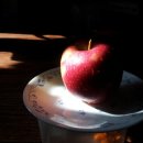 참사랑농원 이미지