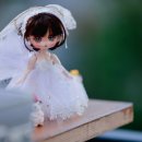 (주)앙주 이미지