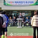 영양군 생활체육공원 축구장 이미지