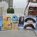 피씨엘코리아 이미지